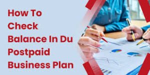 DU Balance Check