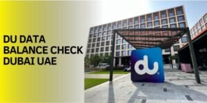 How to Check DU Balance