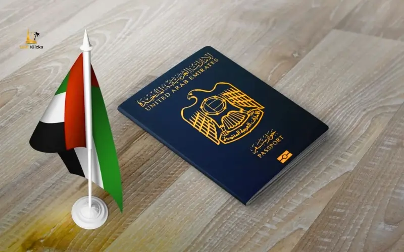 Visit Visa Rejected Dubai