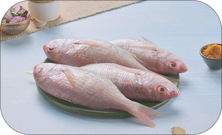 Sultan Ibrahim Fish Dubai