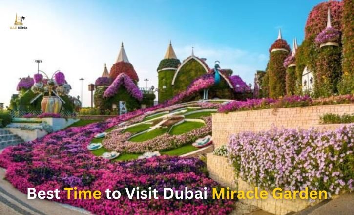 Best Time to Visit Dubai Miracle Garden