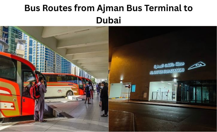 Bus Routes from Ajman Bus Terminal to Dubai