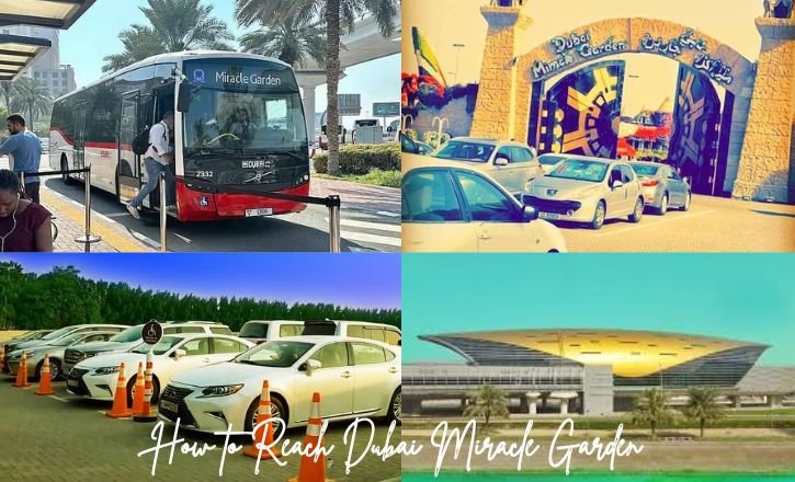 How to Reach Dubai Miracle Garden