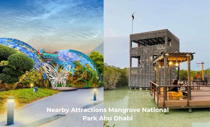Nearby Attractions Mangrove National Park Abu Dhabi