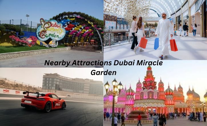 Nearby Attractions dubai miracle garden