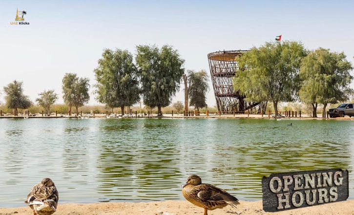 Al Qudra Duck and Swan Lake Opening Hours