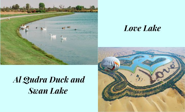 Al Qudra Duck and Swan Lake vs Love Lake