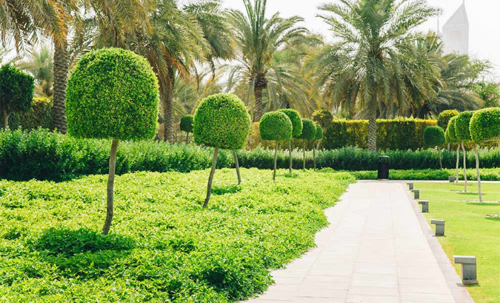 Best Time to Visit Mushairef Ladies Park
