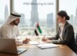 PRO Meaning in UAE