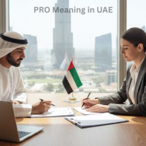PRO Meaning in UAE: Secrets to Hassle-Free Licensing