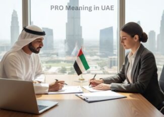 PRO Meaning in UAE