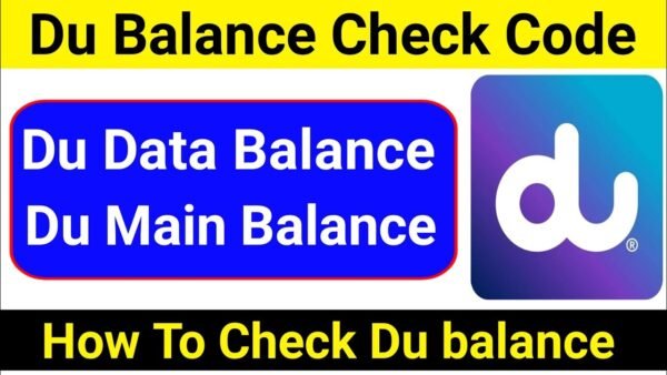 How to Check DU Balance Complete Step-by-Step Guide