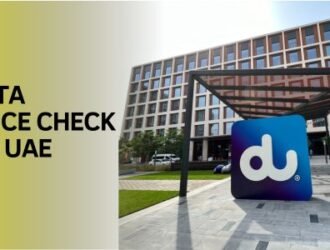 How to Check DU Balance