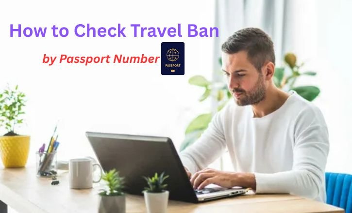 How to Check Travel Ban by Passport Number