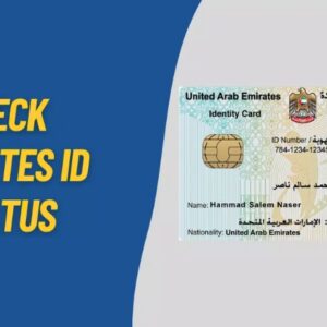 How to Check Emirates ID Status Fast and Easy Online Process