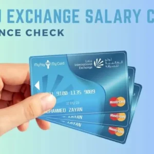 Lulu Salary check