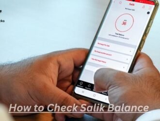 Salik Balance Check Fast & Easy Guide for Dubai