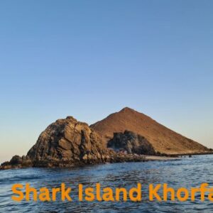Shark Island Khorfakkan – Complete Travel & Snorkeling Guide