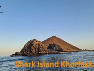 Shark Island Khorfakkan