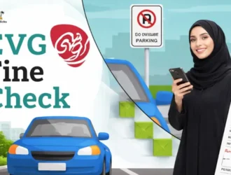 EVG Fine Check