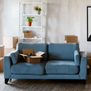 Furniture Storage