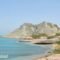Al Aryam Island