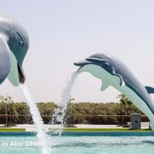 Dolphin Park in Abu Dhabi – Complete Visitor Guide