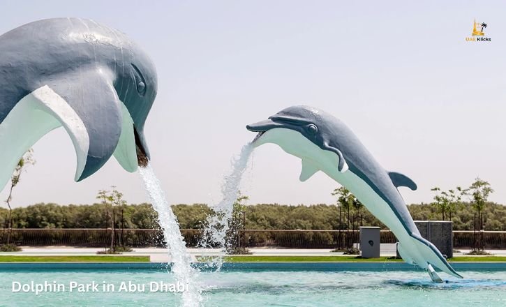 Dolphin Park in Abu Dhabi