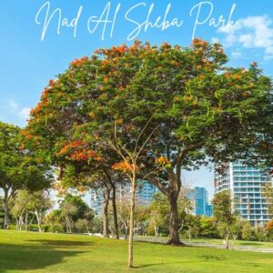 Nad Al Sheba Park