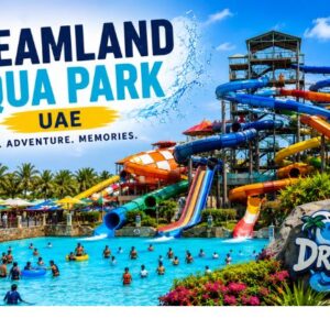 Dreamland Aqua Park UAE: Plan the Perfect Family Day