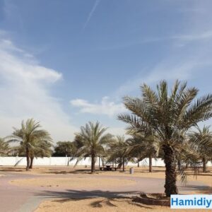 Hamidiya Park Ajman UAE