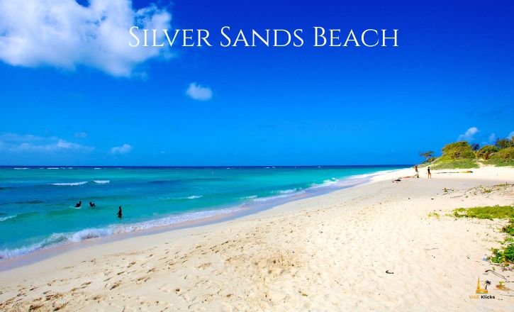 Silver Sands Beach
