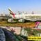 Miracle Garden Dubai