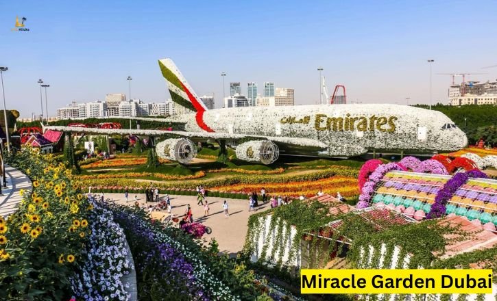 Miracle Garden Dubai