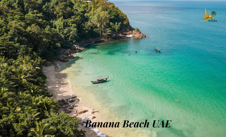 Banana Beach UAE: Location, Entry Fee, Timings, Things to Do & Tips