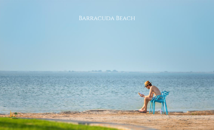 Barracuda Beach UAE – Location, Timings, Things to Do & Travel Tips