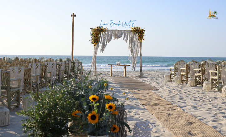 Lumi Beach UAE: Location, Timings, Prices, Activities & Complete Guide