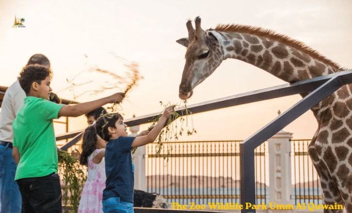 The Zoo Wildlife Park Umm Al Quwain